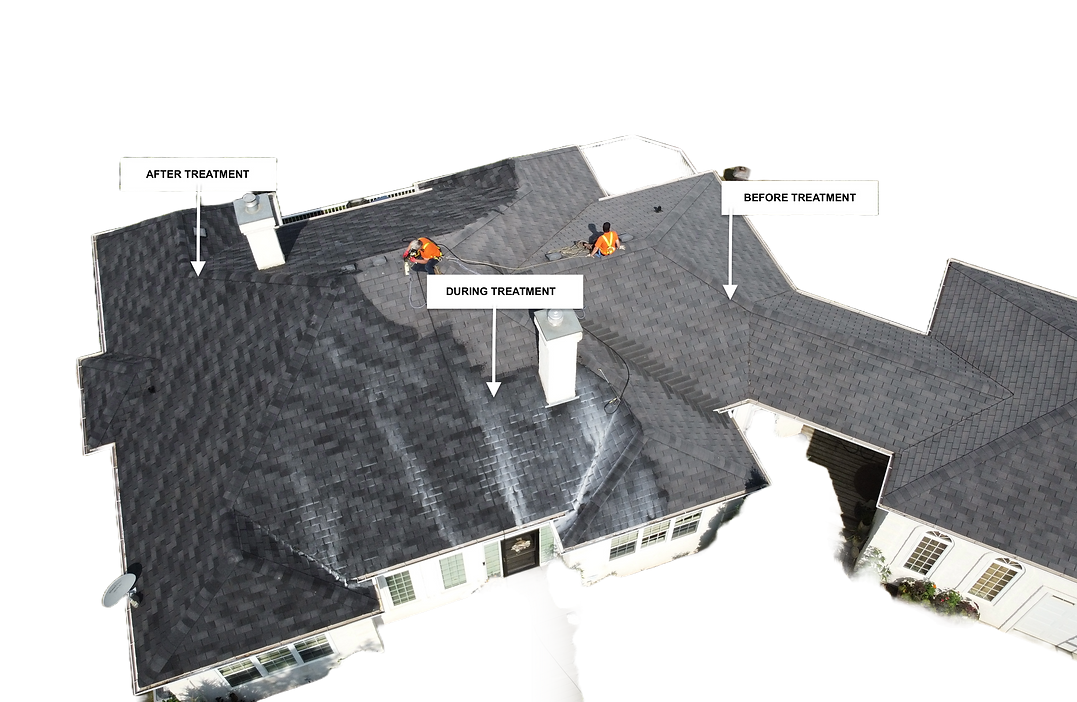 A 3 d image of the roof of a house