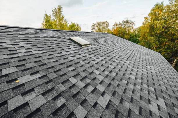 roof coating for shingle