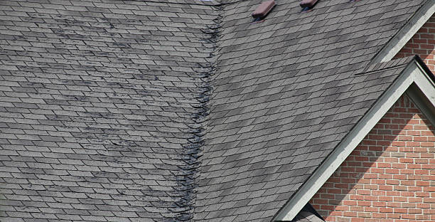 damaged roof shingles